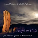 Night In Gale Night In Gale