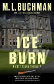 Ice Burn (Kate Stark, #2) (eBook, ePUB)