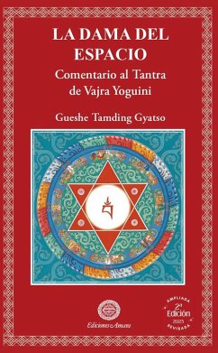 Cover LA DAMA DEL ESPACIO (eBook, ePUB)