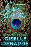 Sexy Surprises Volume 12: 24 Queer and Trans Stories (eBook, ePUB) Sexy Surprises Volume 12: 24 Queer and Trans Stories (eBook, ePUB)