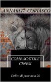 Come scatole cinesi - Delitti di provincia 20 (eBook, ePUB)