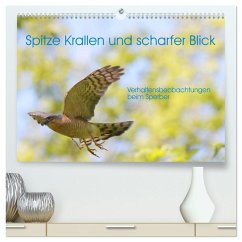 Spitze Krallen und scharfer Blick - Verhalten Sperber (hochwertiger Premium Wandkalender 2026 DIN A2 quer), Kunstdruck in Hochglanz