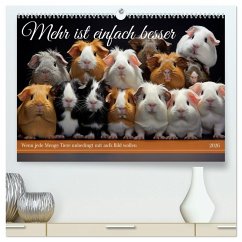 Mehr ist einfach besser (hochwertiger Premium Wandkalender 2026 DIN A2 quer), Kunstdruck in Hochglanz Mehr ist einfach besser (hochwertiger Premium Wandkalender 2026 DIN A2 quer), Kunstdruck in Hochglanz