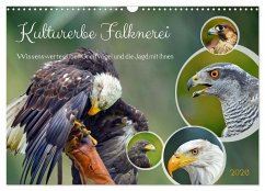 Cover Kulturerbe Falknerei (Wandkalender 2026 DIN A3 quer), CALVENDO Monatskalender