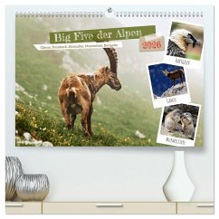 Cover Big Five der Alpen Gämse, Steinbock, Murmeltier, Steinadler, Bartgeier (hochwertiger Premium Wandkalender 2026 DIN A2 quer), Kunstdruck in Hochglanz