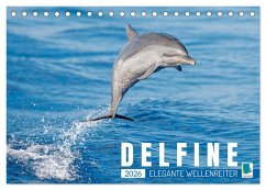 Delfine: Elegante Wellenreiter (Tischkalender 2026 DIN A5 quer), CALVENDO Monatskalender
