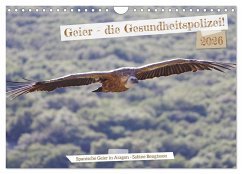 Geier - die Gesundheitspolizei! (Wandkalender 2026 DIN A4 quer), CALVENDO Monatskalender Geier - die Gesundheitspolizei! (Wandkalender 2026 DIN A4 quer), CALVENDO Monatskalender
