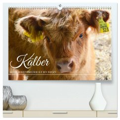 Kälber - Kleine Herzensbrecher auf den Wiesen (hochwertiger Premium Wandkalender 2026 DIN A2 quer), Kunstdruck in Hochglanz
