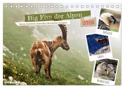 Cover Big Five der Alpen Gämse, Steinbock, Murmeltier, Steinadler, Bartgeier (Tischkalender 2026 DIN A5 quer), CALVENDO Monatskalender