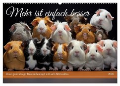 Cover Mehr ist einfach besser (Wandkalender 2026 DIN A2 quer), CALVENDO Monatskalender
