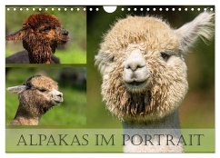 Cover Alpakas im Portrait (Wandkalender 2026 DIN A4 quer), CALVENDO Monatskalender