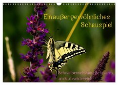 Cover Ein außergewöhnliches Schauspiel (Wandkalender 2026 DIN A3 quer), CALVENDO Monatskalender