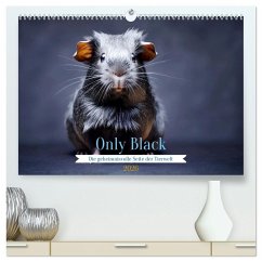 Only Black (hochwertiger Premium Wandkalender 2026 DIN A2 quer), Kunstdruck in Hochglanz