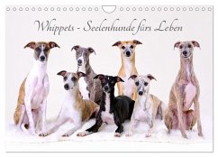Cover Whippets - Seelenhunde fürs Leben (Wandkalender 2026 DIN A4 quer), CALVENDO Monatskalender