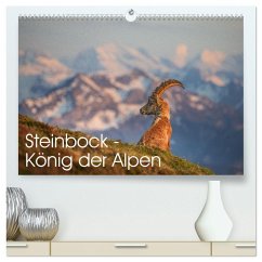 Steinbock - König der Alpen (hochwertiger Premium Wandkalender 2026 DIN A2 quer), Kunstdruck in Hochglanz Cover Steinbock - König der Alpen (hochwertiger Premium Wandkalender 2026 DIN A2 quer), Kunstdruck in Hochglanz