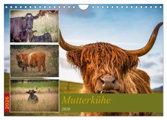 Cover Mutterkühe (Wandkalender 2026 DIN A4 quer), CALVENDO Monatskalender