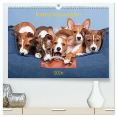 Basenji-Schönheiten (hochwertiger Premium Wandkalender 2026 DIN A2 quer), Kunstdruck in Hochglanz