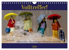 Volltreffer! (Wandkalender 2026 DIN A4 quer), CALVENDO Monatskalender