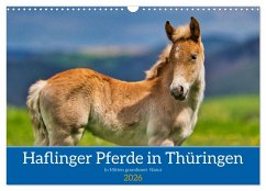 Haflinger Pferde in Thüringen (Wandkalender 2026 DIN A3 quer), CALVENDO Monatskalender Haflinger Pferde in Thüringen (Wandkalender 2026 DIN A3 quer), CALVENDO Monatskalender