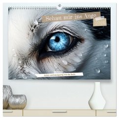 Schau mir ins Auge (hochwertiger Premium Wandkalender 2026 DIN A2 quer), Kunstdruck in Hochglanz Schau mir ins Auge (hochwertiger Premium Wandkalender 2026 DIN A2 quer), Kunstdruck in Hochglanz