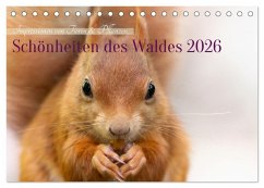 Cover Schönheiten des Waldes (Tischkalender 2026 DIN A5 quer), CALVENDO Monatskalender
