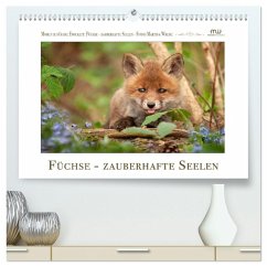 Füchse - zauberhafte Seelen (hochwertiger Premium Wandkalender 2026 DIN A2 quer), Kunstdruck in Hochglanz
