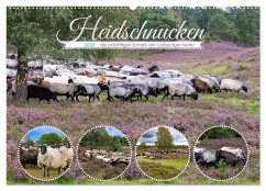 Heidschnucken, die prächtigen Schafe der Lüneburger Heide (Wandkalender 2026 DIN A2 quer), CALVENDO Monatskalender Heidschnucken, die prächtigen Schafe der Lüneburger Heide (Wandkalender 2026 DIN A2 quer), CALVENDO Monatskalender