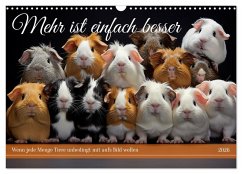 Cover Mehr ist einfach besser (Wandkalender 2026 DIN A3 quer), CALVENDO Monatskalender