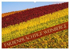 Farbenprächtige Weinberge (Wandkalender 2026 DIN A2 quer), CALVENDO Monatskalender