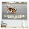 Ein Dalmatiner und ein Beagle - Auf der... - Bild 1