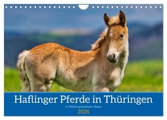 Haflinger Pferde in Thüringen (Wandkalender 2026 DIN A4 quer), CALVENDO Monatskalender