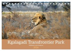Kgalagadi - Fauna und Wildtiere in der Kalahari (Tischkalender 2026 DIN A5 quer), CALVENDO Monatskalender