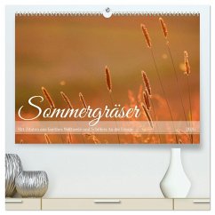 Sommergräser (hochwertiger Premium Wandkalender 2026 DIN A2 quer), Kunstdruck in Hochglanz