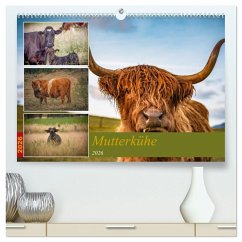 Cover Mutterkühe (hochwertiger Premium Wandkalender 2026 DIN A2 quer), Kunstdruck in Hochglanz