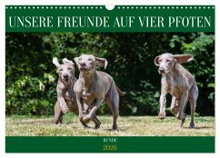 Unsere Freunde auf vier Pfoten - Hunde (Wandkalender 2026 DIN A3 quer), CALVENDO Monatskalender
