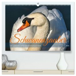 Schwanenzauber (hochwertiger Premium Wandkalender 2026 DIN A2 quer), Kunstdruck in Hochglanz