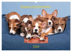 Basenji-Schönheiten (Wandkalender 2026 DIN A2 quer), CALVENDO Monatskalender