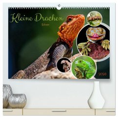 Kleine Drachen - Echsen (hochwertiger Premium Wandkalender 2026 DIN A2 quer), Kunstdruck in Hochglanz Cover Kleine Drachen - Echsen (hochwertiger Premium Wandkalender 2026 DIN A2 quer), Kunstdruck in Hochglanz