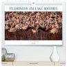Flamingos am Lake Bogoria - Kenia... - Bild 1