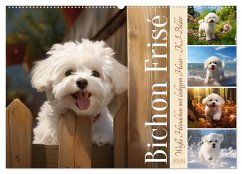 Cover Bichon frisé, weiße Hündchen mit lockigem Haar (Wandkalender 2026 DIN A2 quer), CALVENDO Monatskalender