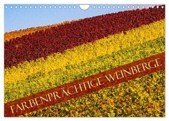 Farbenprächtige Weinberge (Wandkalender 2026 DIN A4 quer), CALVENDO Monatskalender