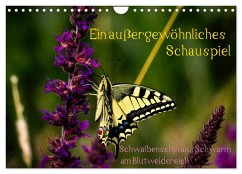 Cover Ein außergewöhnliches Schauspiel (Wandkalender 2026 DIN A4 quer), CALVENDO Monatskalender