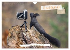 Oachkatzl (Wandkalender 2026 DIN A4 quer), CALVENDO Monatskalender Oachkatzl (Wandkalender 2026 DIN A4 quer), CALVENDO Monatskalender