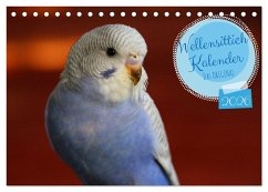 Wellensittichkalender! - Das Original (Tischkalender 2026 DIN A5 quer), CALVENDO Monatskalender Wellensittichkalender! - Das Original (Tischkalender 2026 DIN A5 quer), CALVENDO Monatskalender