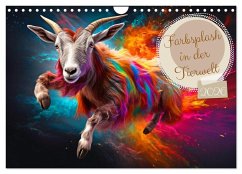 Farbsplash in der Tierwelt (Wandkalender 2026 DIN A4 quer), CALVENDO Monatskalender