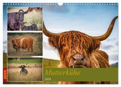 Cover Mutterkühe (Wandkalender 2026 DIN A3 quer), CALVENDO Monatskalender