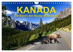 Cover KANADA - Die Bären der Rocky Mountains (Wandkalender 2026 DIN A4 quer), CALVENDO Monatskalender