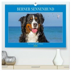 Berner Sennenhund - Ein Freund auf vier Pfoten (hochwertiger Premium Wandkalender 2026 DIN A2 quer), Kunstdruck in Hochglanz