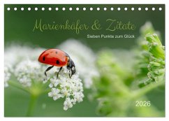 Cover Marienkäfer & Zitate - Sieben Punkte zum Glück (Tischkalender 2026 DIN A5 quer), CALVENDO Monatskalender