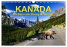 KANADA - Die Bären der Rocky Mountains... - Bild 1